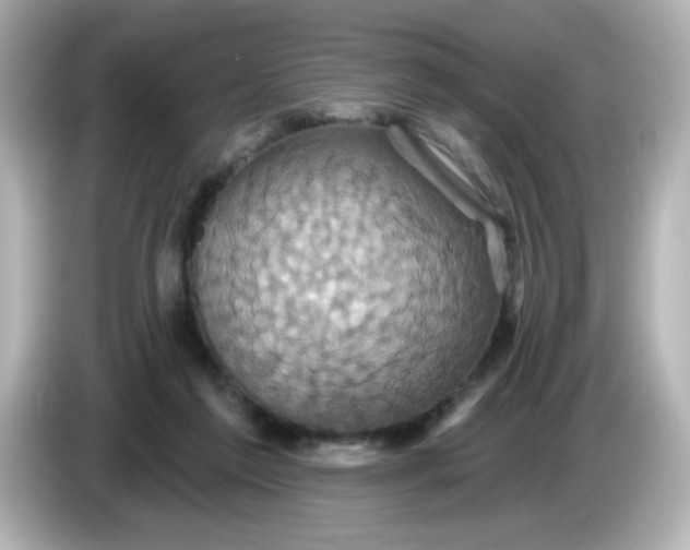 X0000086020213200704091119
