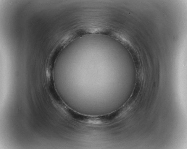 X0000086020214200704091119