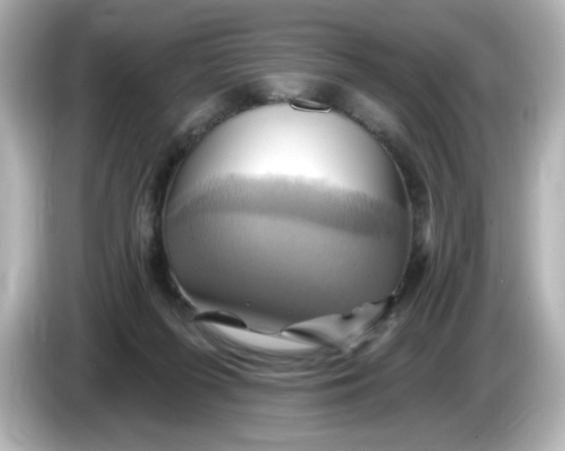 X0000086020215200704091119