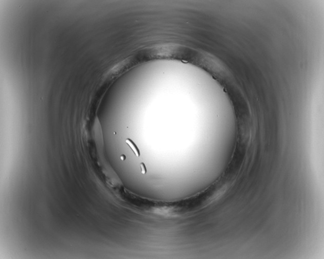 X0000086020216200704091119