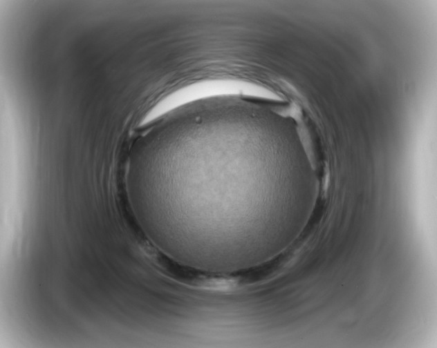 X0000086020217200704091119