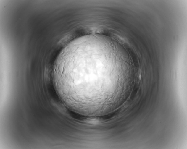 X0000086020218200704091119