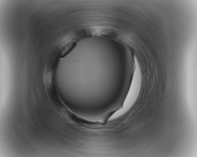 X0000086020219200704091119