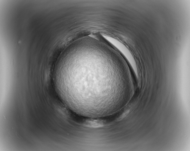X0000086020221200704091119