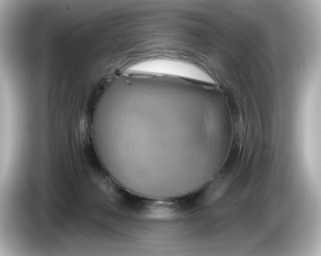 X0000086020222200704091119