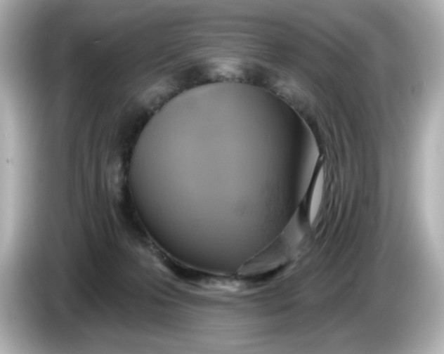 X0000086020223200704091119