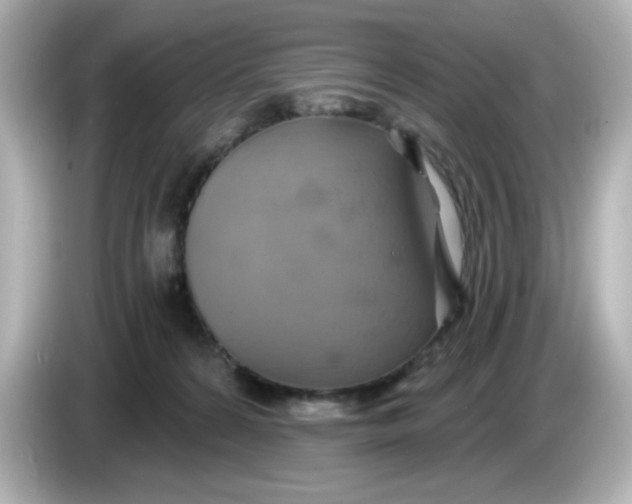 X0000086020224200704091119