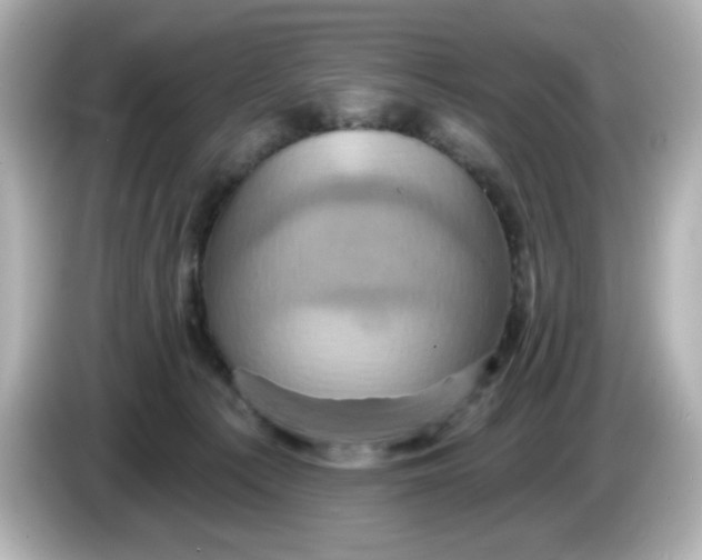 X0000086020225200704091119