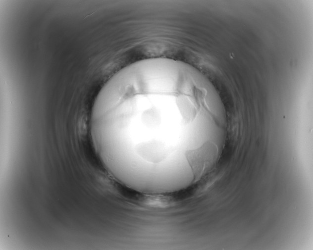 X0000086020226200704091119