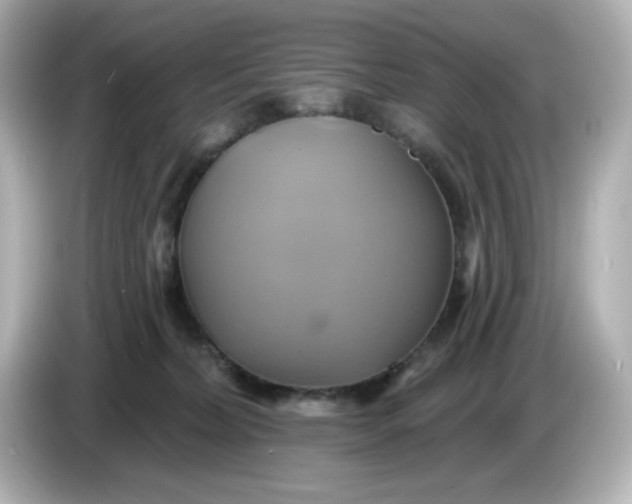 X0000086020228200704091119