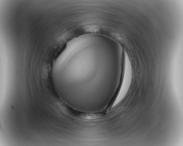 X0000086020229200704091119