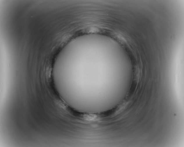 X0000086020230200704091119