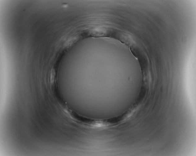 X0000086020231200704091119