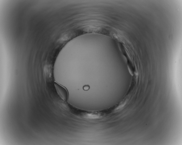 X0000086020232200704091119
