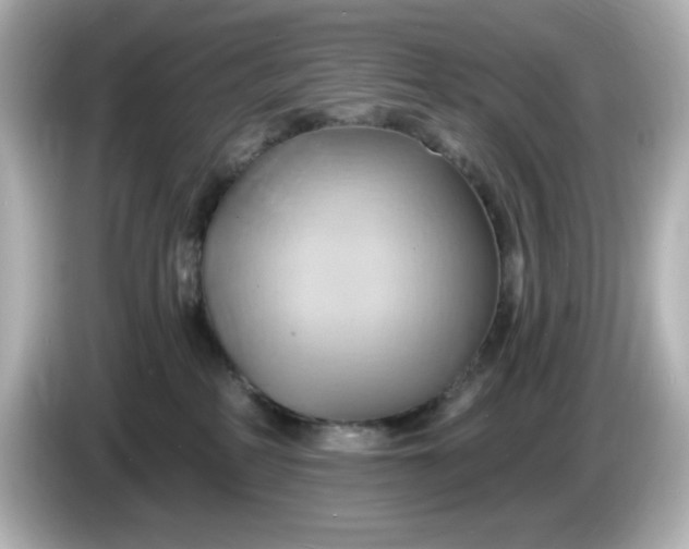X0000086020234200704091119