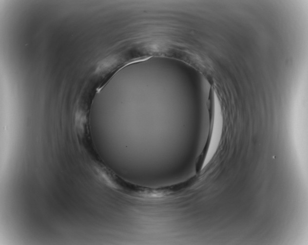 X0000086020235200704091119