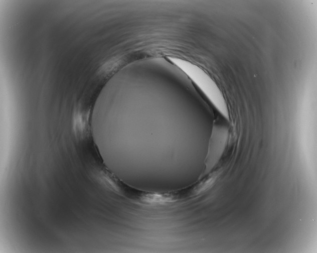 X0000086020239200704091119