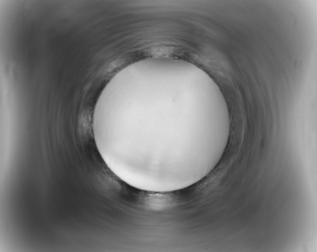 X0000086020240200704091119