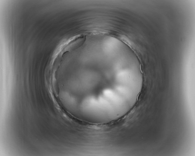 X0000086020241200704091119