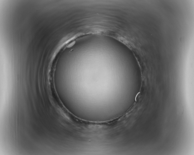 X0000086020242200704091119