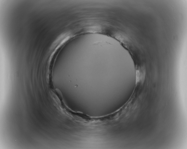 X0000086020243200704091119