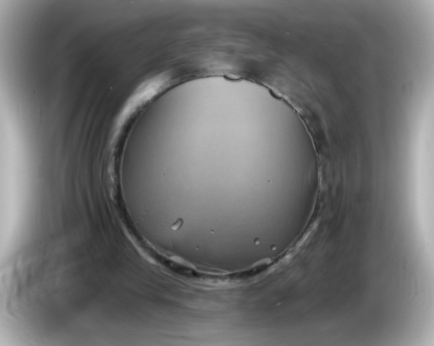 X0000086020245200704091119
