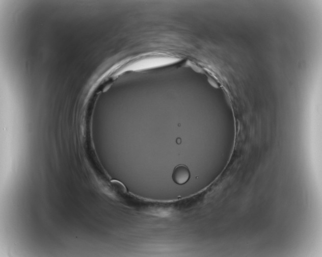 X0000086020247200704091119