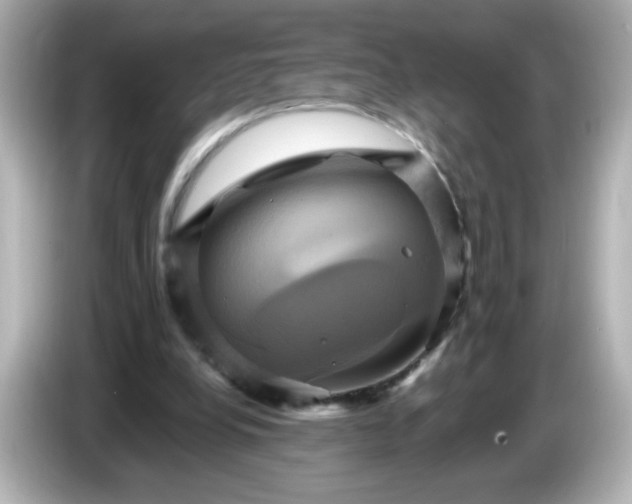 X0000086020248200704091119