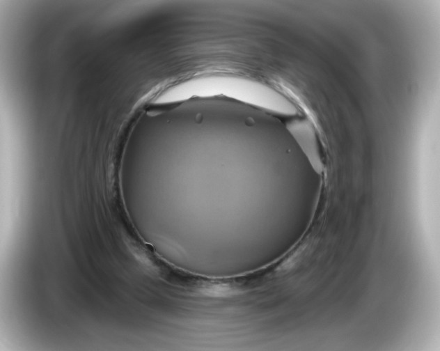 X0000086020249200704091119