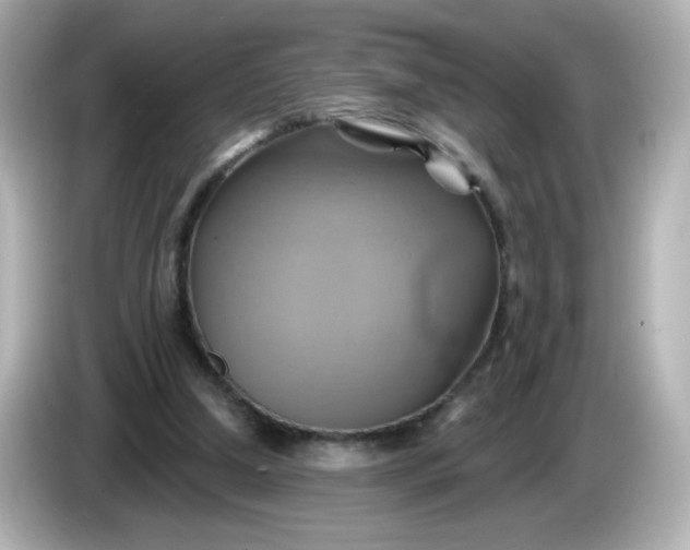 X0000086020250200704091119