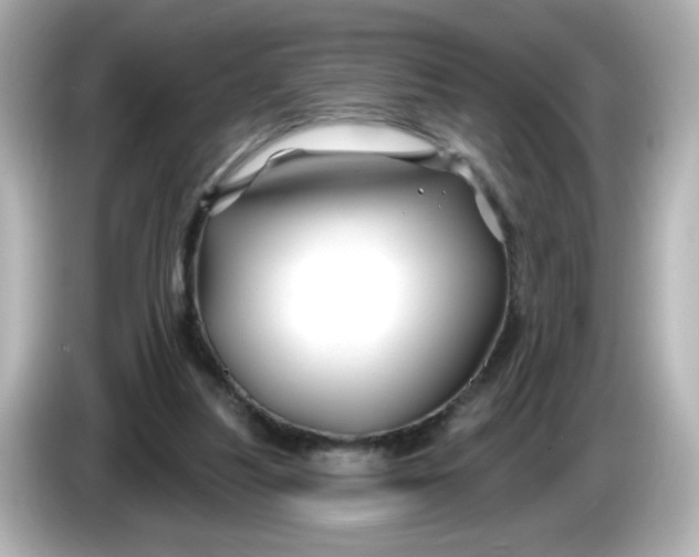 X0000086020251200704091119