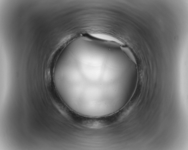 X0000086020254200704091119