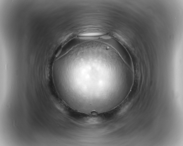 X0000086020255200704091119