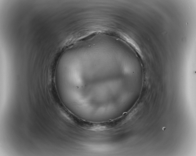 X0000086020257200704091119