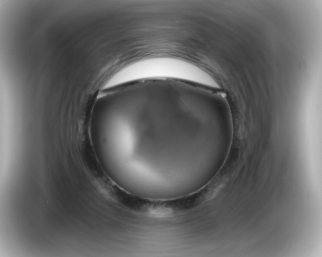 X0000086020258200704091119