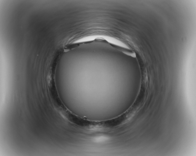 X0000086020259200704091119