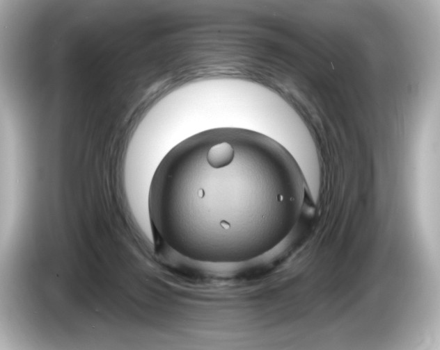 X0000086020260200704091119