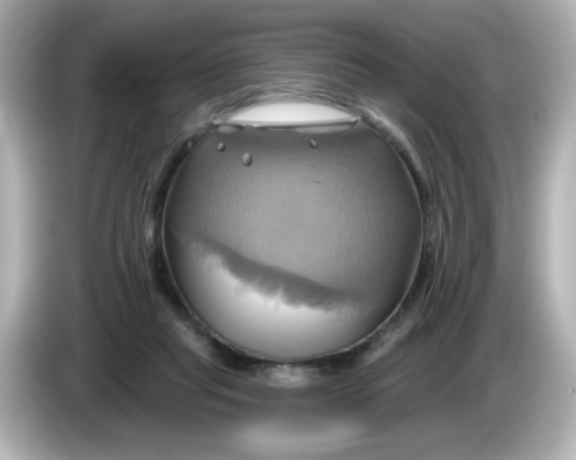 X0000086020261200704091119
