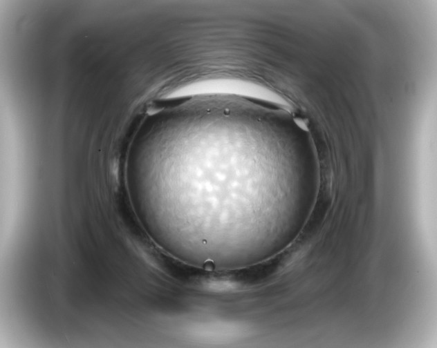 X0000086020262200704091119