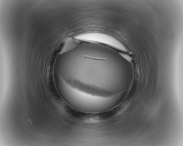X0000086020263200704091119