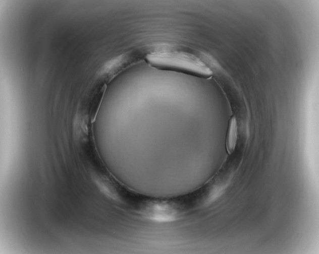 X0000086020264200704091119