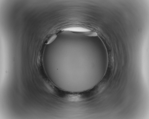 X0000086020266200704091119