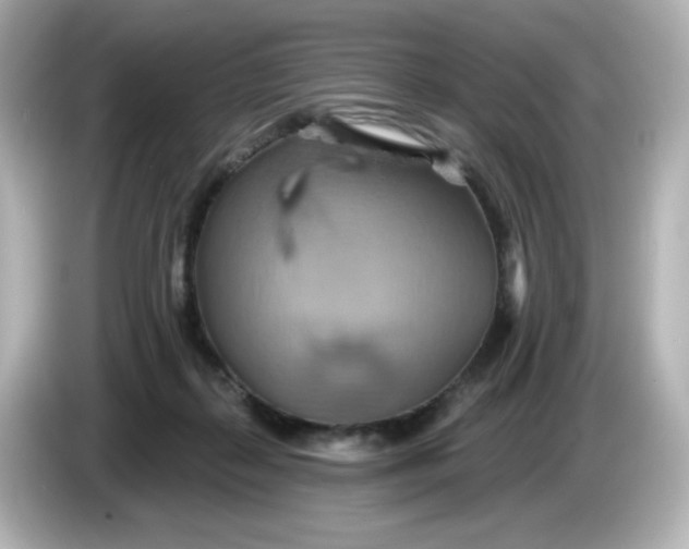 X0000086020267200704091119