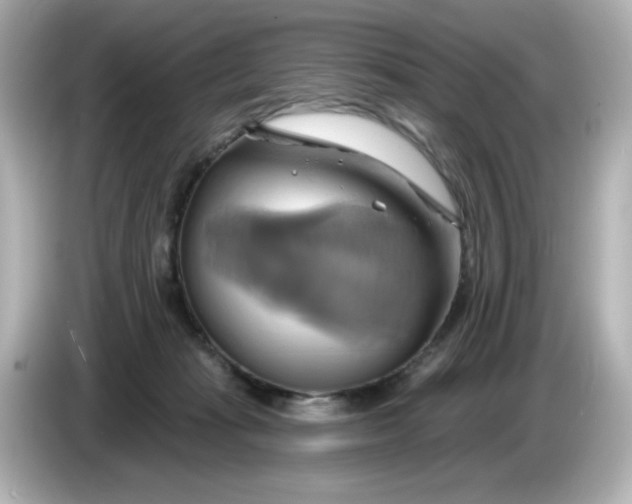 X0000086020269200704091119