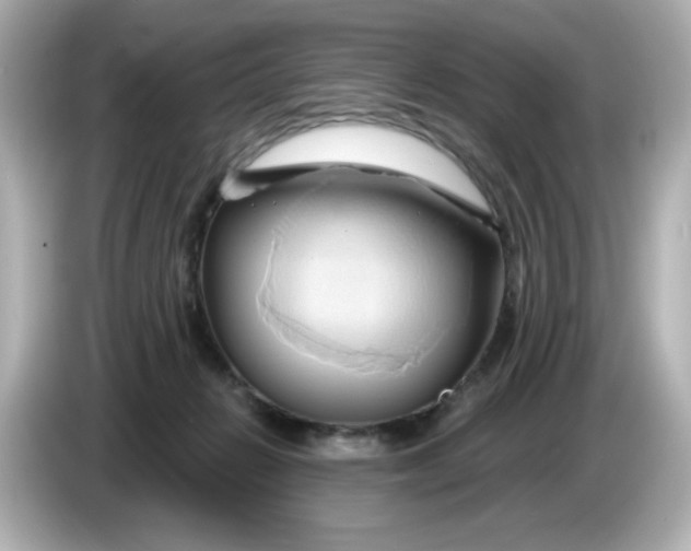 X0000086020270200704091119