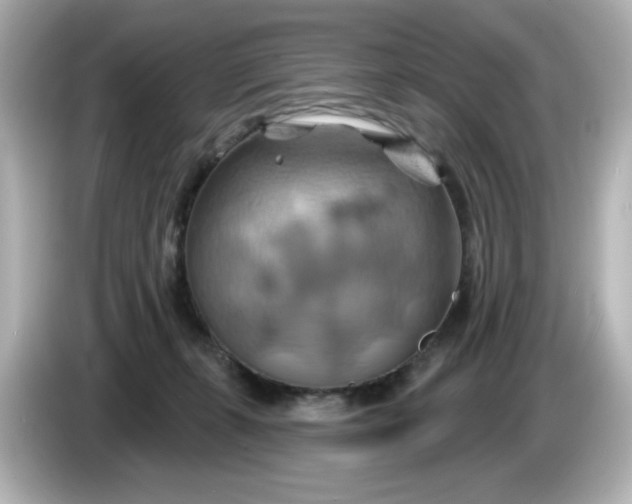 X0000086020271200704091119