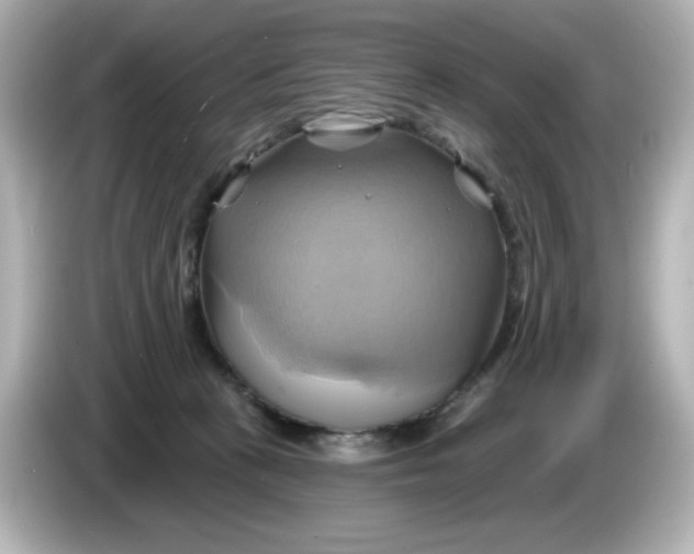 X0000086020273200704091119