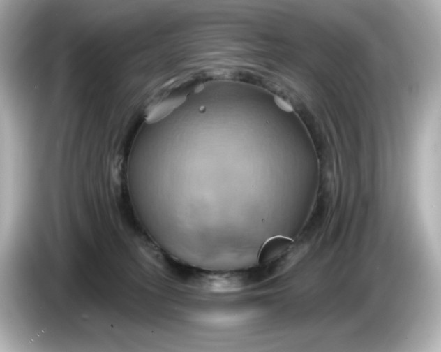 X0000086020275200704091119