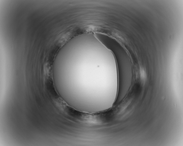 X0000086020276200704091119