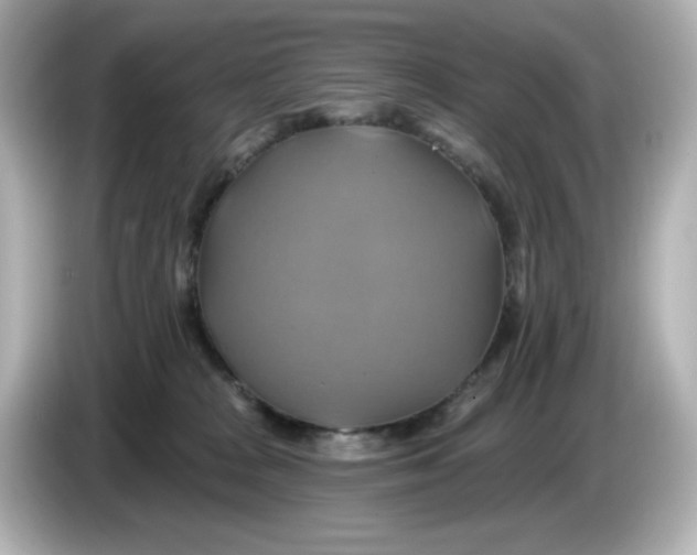 X0000086020277200704091119